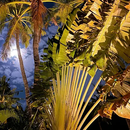 Palm Garden Amed Beach & Spa Resort Bali-2
